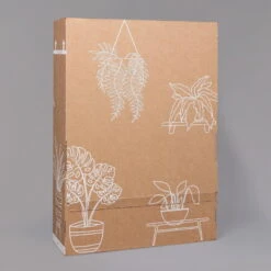 Dreimasterblume In Keramiktopf Anthrazit, N. Verfügbarkeit, Topf-Ø 12cm, 3er-Set -Gartenprodukte B2 02 Karton Sets mit Keramik 1 126161 1