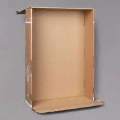 Aglaonema 'Crete', Mit Übertopf Dallas Weiß, Topf-Ø 12 Cm -Gartenprodukte B2 02 Karton Sets mit Keramik 3 126159 3